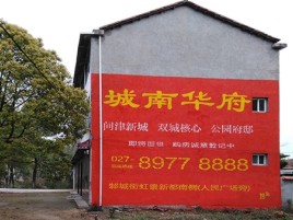海安百分之90的人都不了解的农村墙体广告
