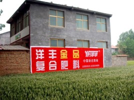 海安如何让墙体广告展现最大化效果