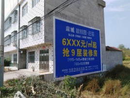 海安墙体广告质量分析