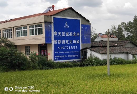 海安决定墙体广告价格的因素有哪些？