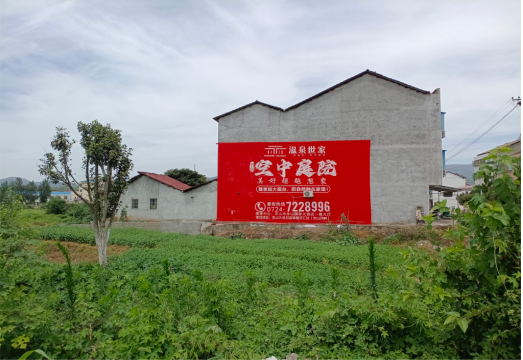 海安做墙体广告的意义