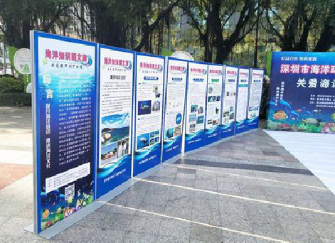 海安KT板的种类和知识。